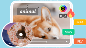 tipard dvd creator giveaway