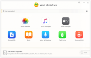 winx mediatrans giveaway