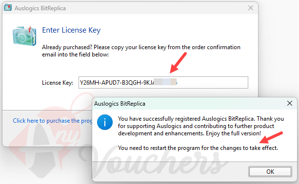 auslogics bitreplica giveaway license code