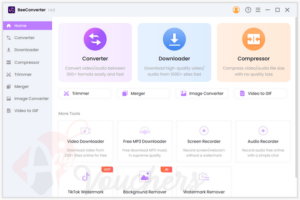 beeconverter pro giveaway
