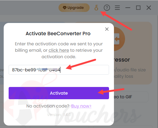 beeconverter pro giveaway activation