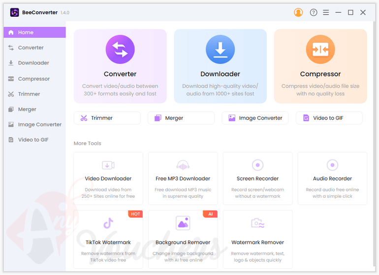 AmoyShare BeeConverter Pro Giveaway Key Download