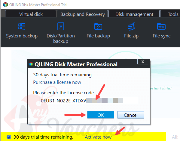 qiling disk master professional giveaway key free